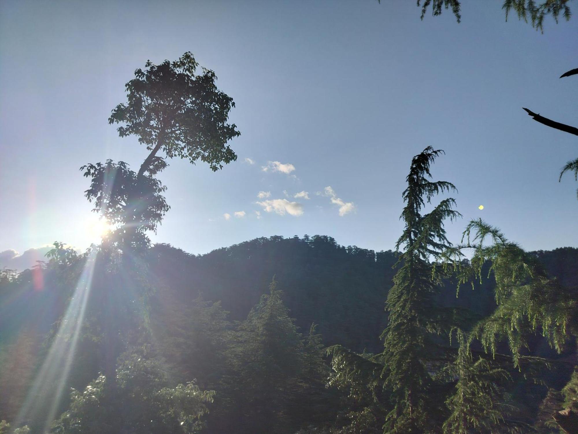 Tree Valley Homestay Chail Exterior foto