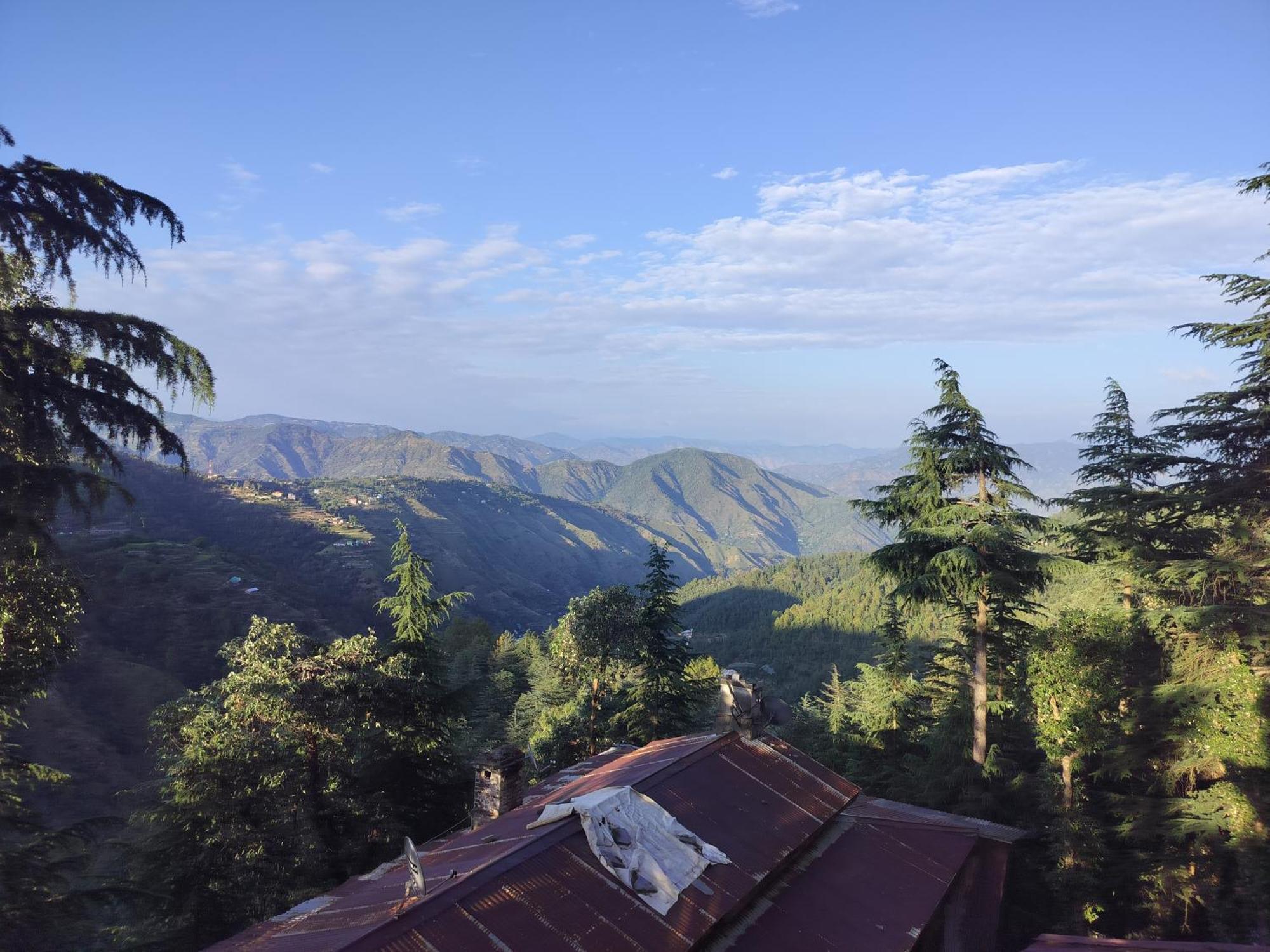 Tree Valley Homestay Chail Exterior foto